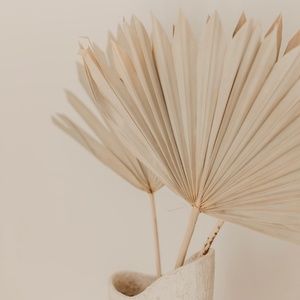 Meet your Posher, Haleigh